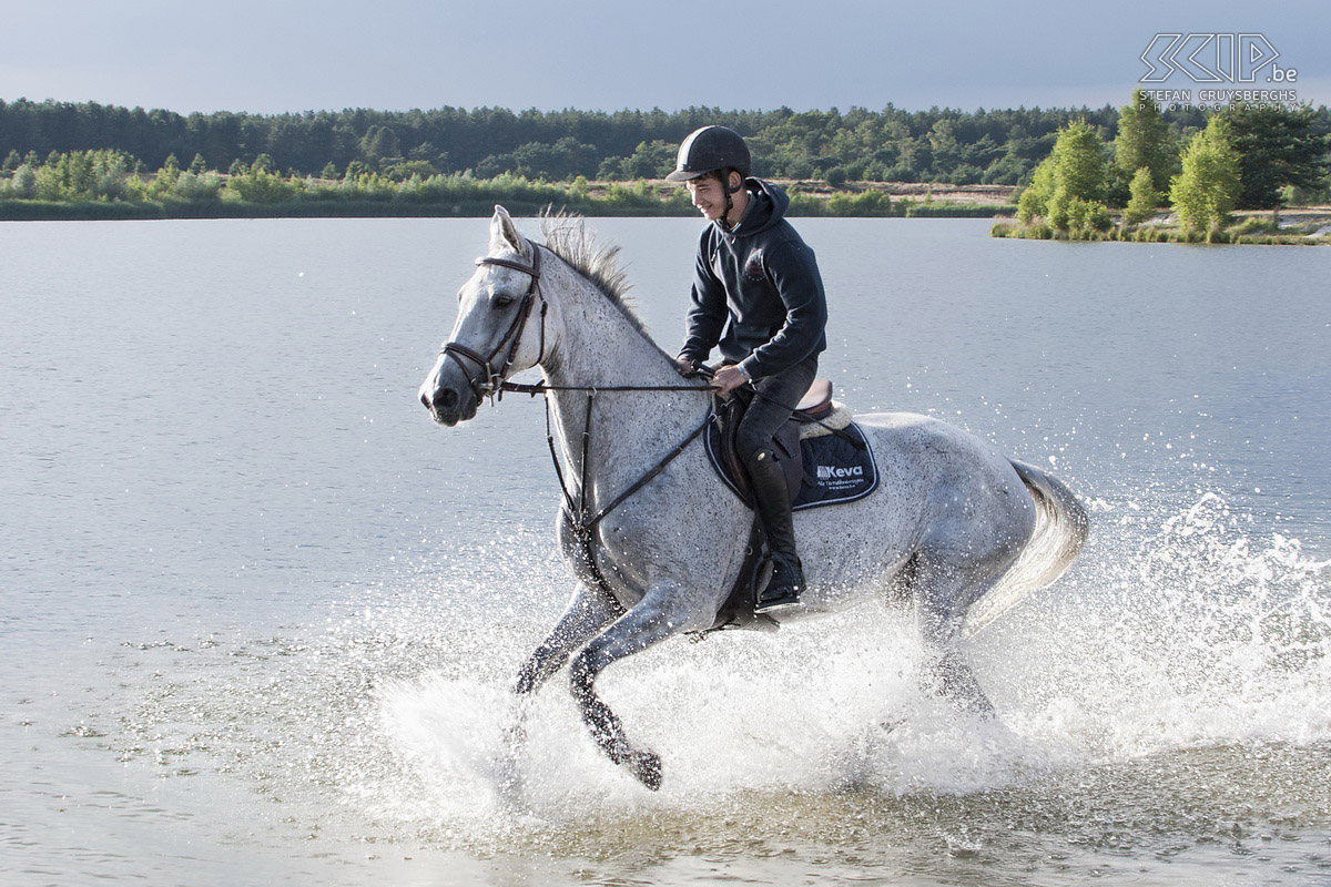 Running horses On the last day of July our photo club ISO400 had a great photo-shoot in the nature reserve the Sahara in Lommel. 4 people of a local horse stable came with their beautiful horses to run through the water and in the white sand which resulted in some great action photos. Stefan Cruysberghs